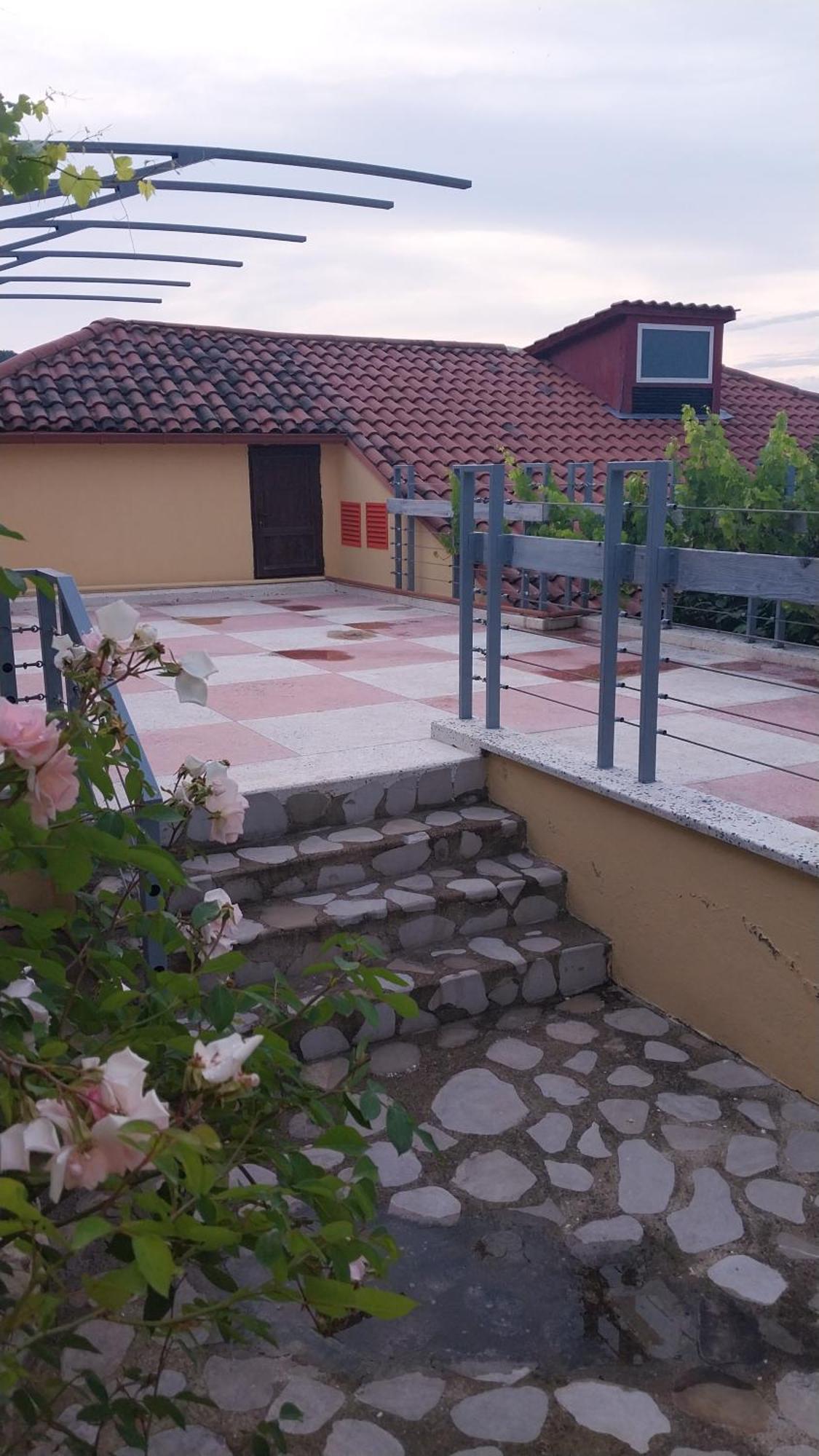 Vigor Hotel Szenaki Kültér fotó