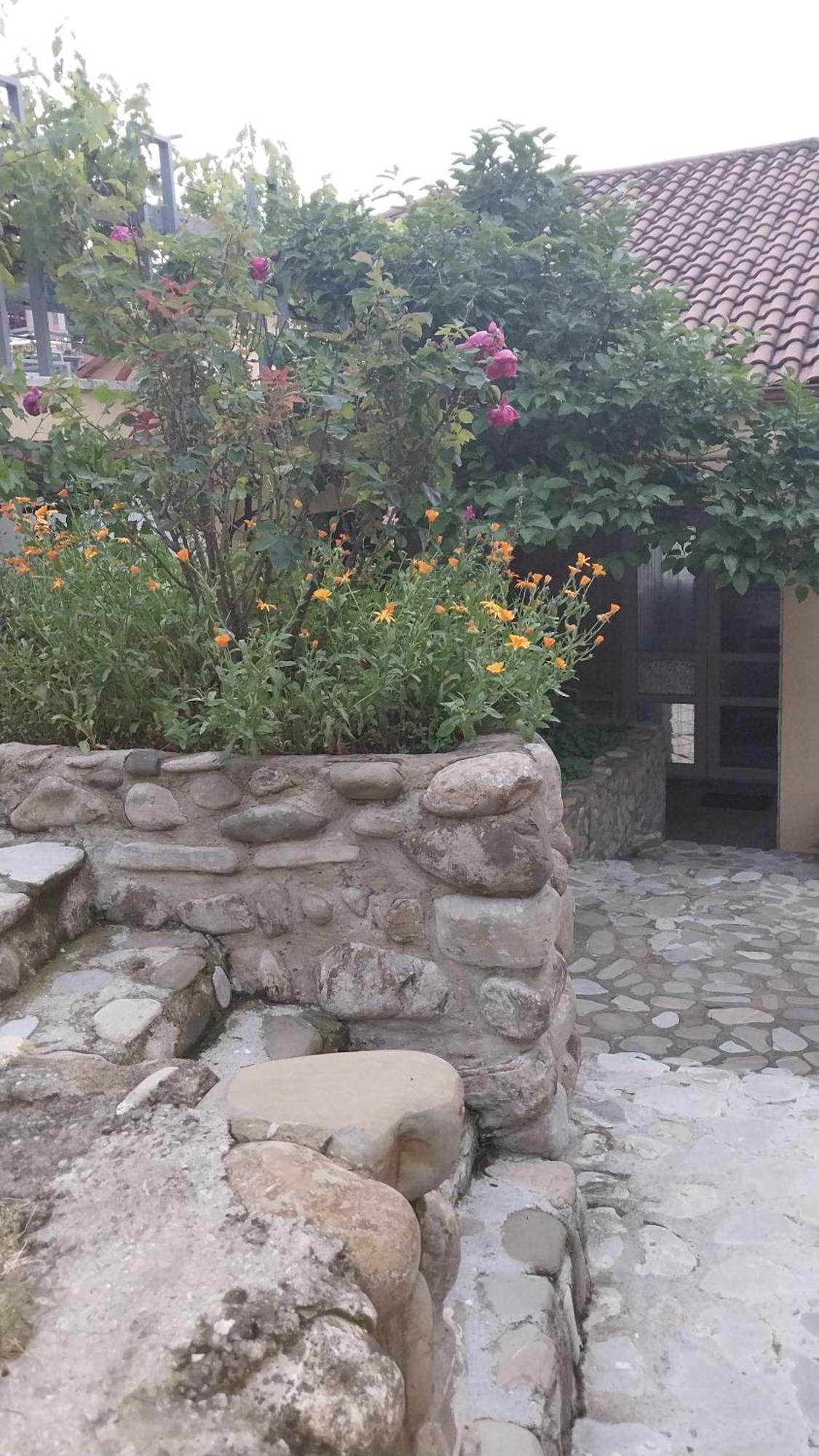 Vigor Hotel Szenaki Kültér fotó